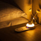 Morpho Glow Light
